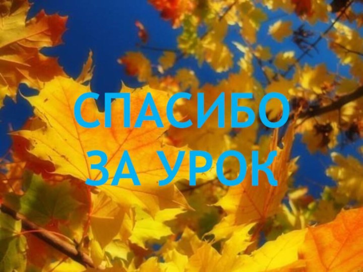 СПАСИБО ЗА УРОК