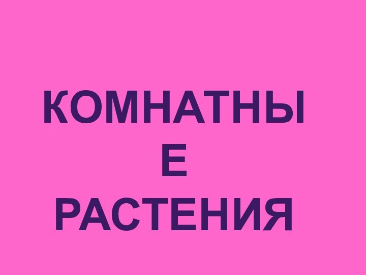 КОМНАТНЫЕ РАСТЕНИЯ