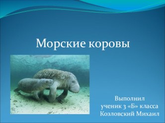 Проект Красная книга России. Морские коровы. Выполнил ученик 3 класса Козловский Михаил проект по окружающему миру (3 класс)