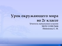 Презентация Как правильно чистить зубы презентация к уроку по зож (2 класс)