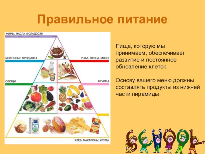 Правильное питаниеПища, которую мыпринимаем, обеспечиваетразвитие и постоянноеобновление клеток.Основу вашего меню должнысоставлять продукты из нижней части пирамиды.