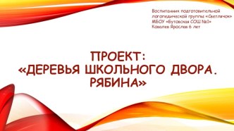 Презентация Деревья нашего двора.Рябина. презентация к уроку (подготовительная группа)