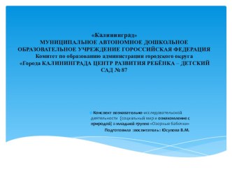 Конспект познавательно-исследовательской деятельности (социальный мир и ознакомление с природой) план-конспект занятия по окружающему миру (младшая группа)