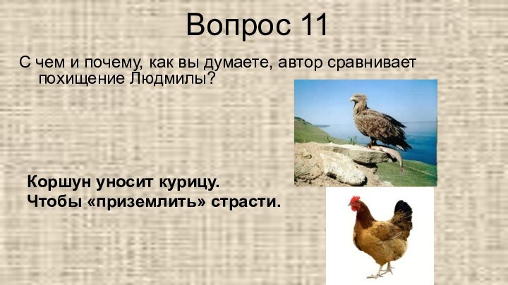 Вопрос 11С чем и почему, как вы думаете, автор сравнивает похищение Людмилы?Коршун уносит курицу.Чтобы «приземлить» страсти.