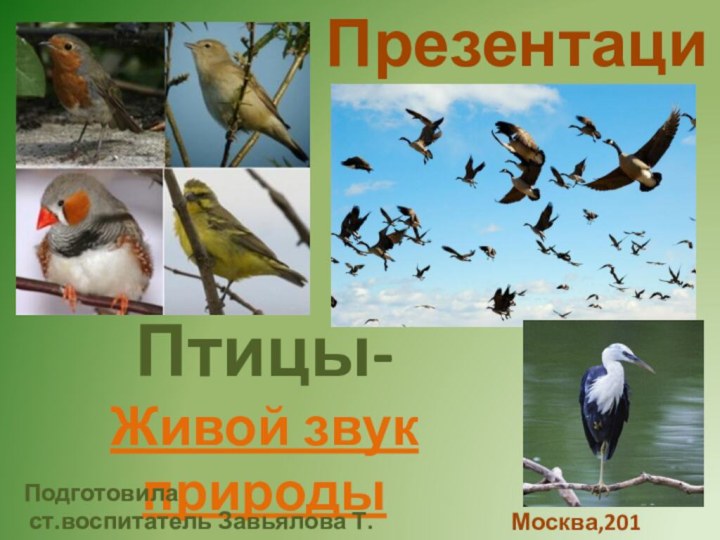 Презентация Птицы- Живой звук природыПодготовила ст.воспитатель Завьялова Т.А.Москва,2013