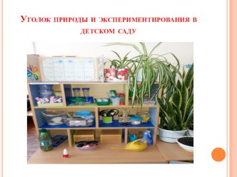 Уголок природы и экспериментирования в подготовительной группе доу презентация к уроку по окружающему миру (подготовительная группа)