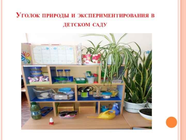 Уголок природы и экспериментирования в детском саду