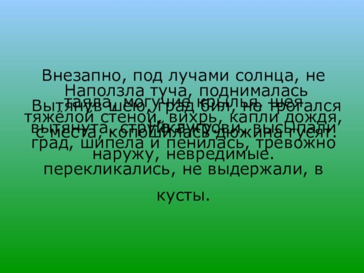 Наползла туча, поднималась тяжёлой стеной, вихрь, капли дождя, град, шипела и