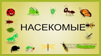 Презентация Насекомые презентация к уроку по окружающему миру (старшая группа)