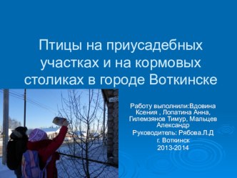 Исследоватльская работа Орнитологические наблюдения в зимний период у кормушки в г.Воткинске презентация к уроку по окружающему миру (3 класс)