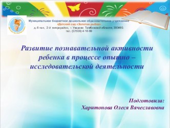 Развитие познавательной активности ребенка в прцессе опытно - исследовательской деятельности проект