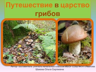 Презентация по окружающему миру Путешествие в царство грибов презентация к уроку по окружающему миру (3 класс) по теме
