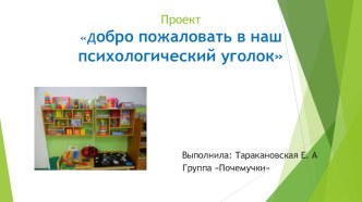 Сенсорное развитие проект (младшая группа)