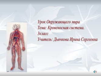 Урок ОМ в 3 классе по теме  Кровеносная система с использованием технологии критического мышления план-конспект урока по окружающему миру (3 класс) по теме