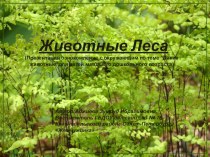 Презентация Животные лесаОзнокомление с окружающим для детей младшего возраста. презентация к уроку (младшая группа) по теме