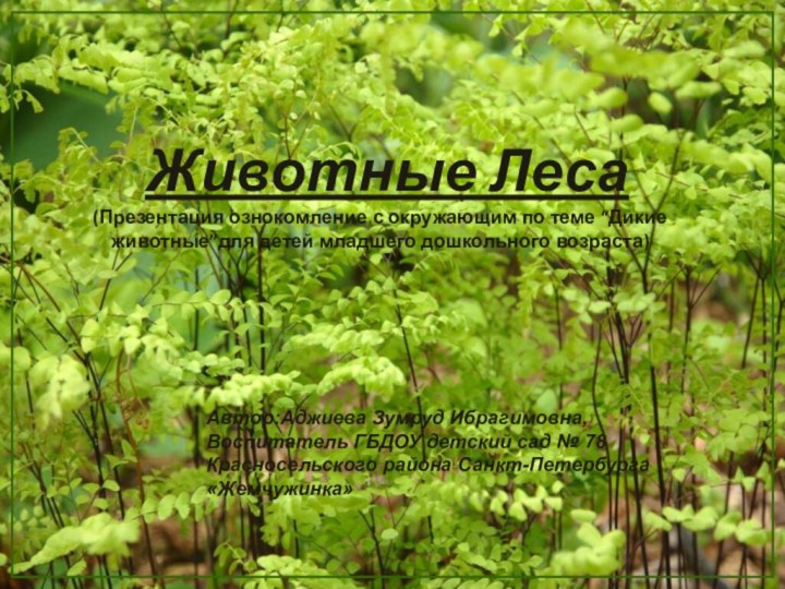 Животные Леса (Презентация ознокомление с окружающим по теме “Дикие животные”для детей