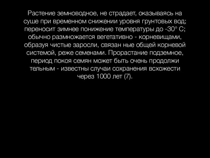 Растение земноводное, не страдает, оказываясь на суше при временном снижении уровня грунтовых