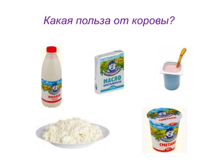 Какая польза от коровы?