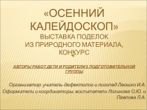 Осенний калейдоскоп. Выставка поделок из природного материала презентация к занятию (подготовительная группа) по теме