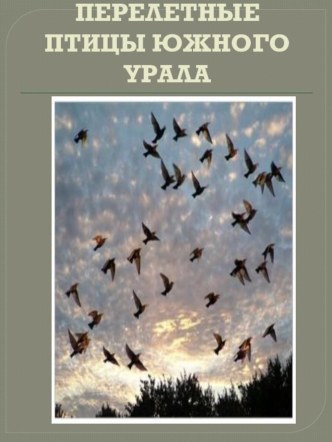 ПЕРЕЛЕТНЫЕ ПТИЦЫ ЮЖНОГО УРАЛА презентация к уроку по окружающему миру (подготовительная группа)