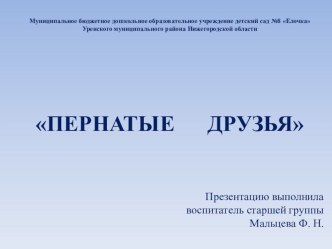 презентация к НОД по ознакомлению с окружающим миром Пернатые друзья презентация к уроку по окружающему миру (старшая группа)