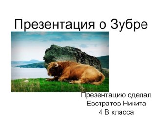 Зубр план-конспект урока по окружающему миру по теме