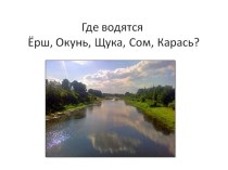 Речные рыбы. Закрепление. презентация к занятию по логопедии (подготовительная группа) по теме