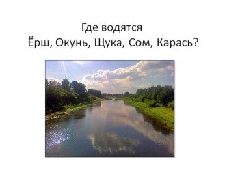 Речные рыбы. Закрепление. презентация к занятию по логопедии (подготовительная группа) по теме