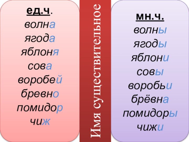 ед.ч.волнаягодаяблонясоваворобейбревнопомидорчиж мн.ч.волныягодыяблонисовыворобьибрёвнапомидорычижиИмя существительное