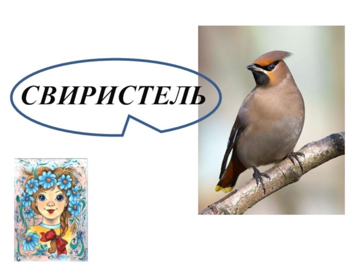 СВИРИСТЕЛЬ