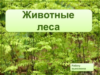 Презентация Дикие животные  презентация к занятию по окружающему миру (старшая группа) по теме