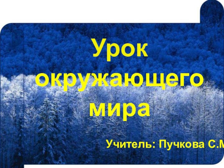 Урококружающего мираУчитель: Пучкова С.М.