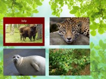План-конспект экологического урока Животные Кавказа помогут всем и сразу план-конспект урока по окружающему миру (1 класс) по теме