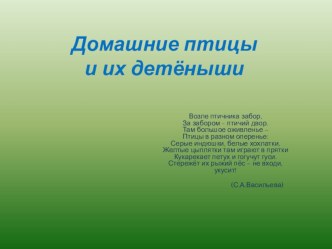 Презентация для детей старшей логопедической группы по теме Домашние птицы и их детёныши презентация к уроку по логопедии (старшая группа) по теме