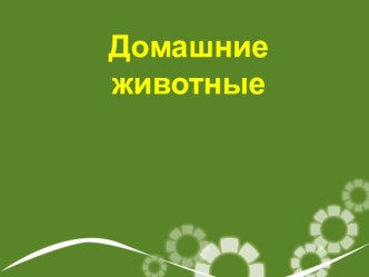 Презентация Домашние животные презентация к уроку по окружающему миру (младшая группа)