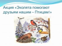 Презентация акции  Эколята помогают друзьям нашим - птицам! презентация к уроку (средняя группа)