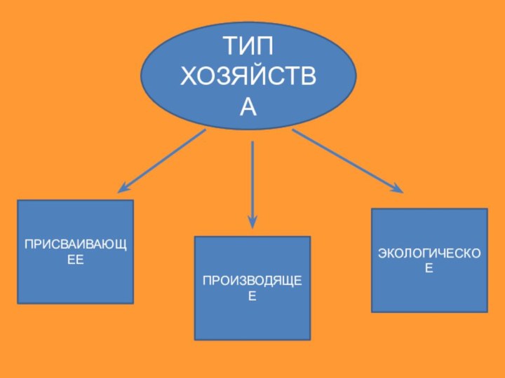 ТИП ХОЗЯЙСТВАПРИСВАИВАЮЩЕЕПРОИЗВОДЯЩЕЕЭКОЛОГИЧЕСКОЕ