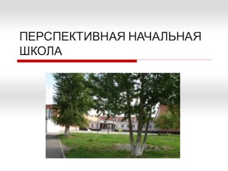 УМК Перспективная начальная школа