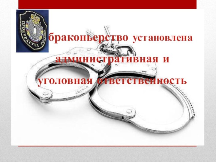 За браконьерство установлена административная и уголовная ответственность