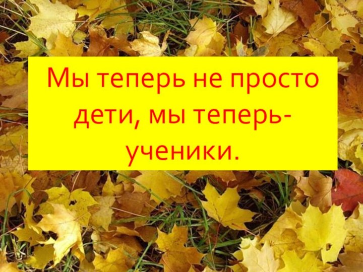 Мы теперь не просто дети, мы теперь-ученики.