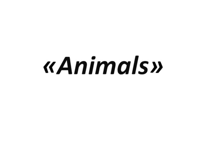 «Animals»