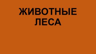 презентация животные леса презентация по окружающему миру