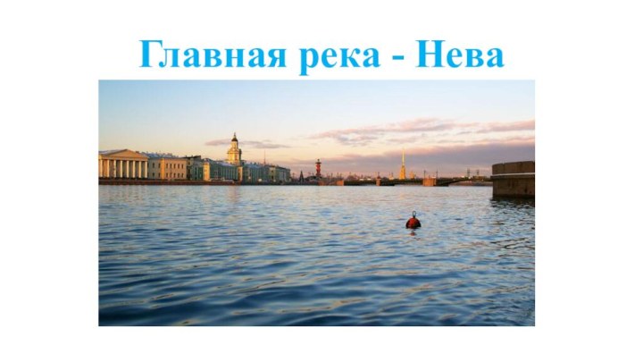 Главная река - Нева