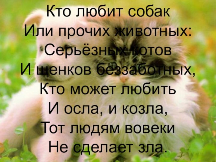 Кто любит собакИли прочих животных:Серьёзных котовИ щенков беззаботных,Кто может любитьИ осла, и