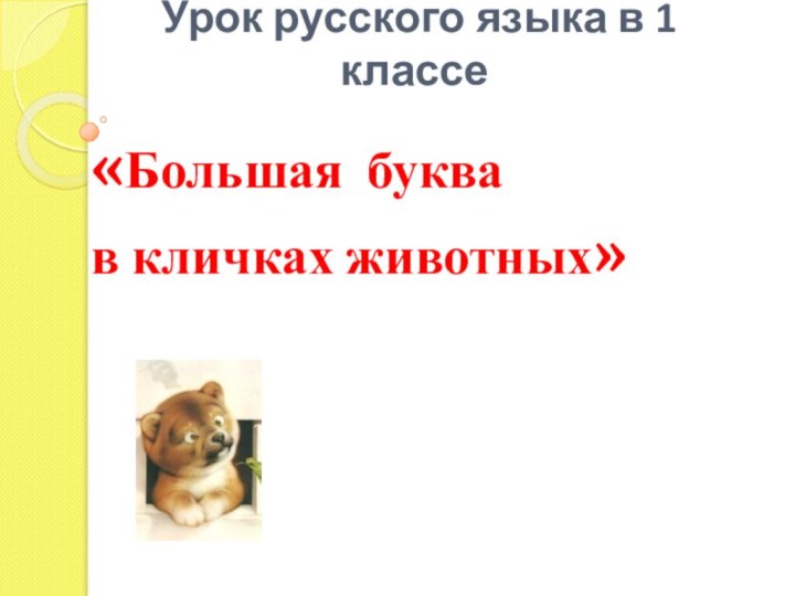 Урок русского языка в 1 классе«Большая буквав кличках животных»