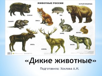 презентация дикие животные презентация к уроку по окружающему миру (младшая группа)