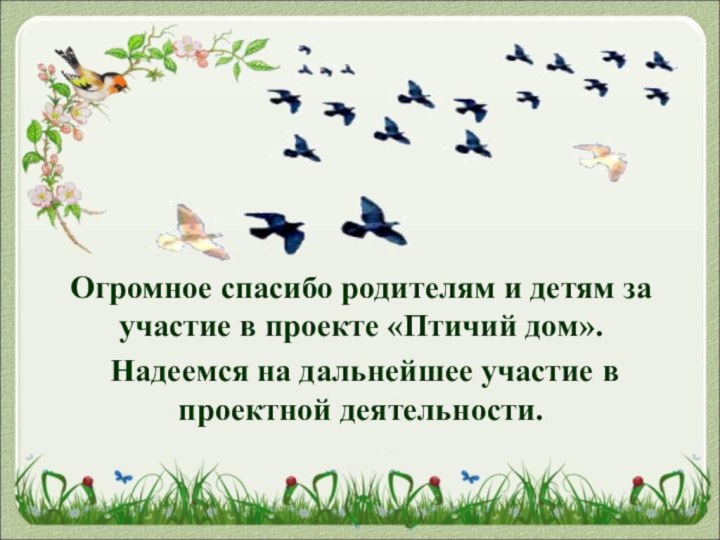 Огромное спасибо родителям и детям за участие в проекте «Птичий дом». Надеемся