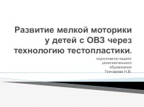 Развитие мелкой моторики у детей с ОВЗ через технологию тестопластики. презентация к уроку ( группа)