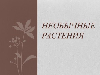 Классный час Необычные растения классный час по окружающему миру (2 класс) по теме