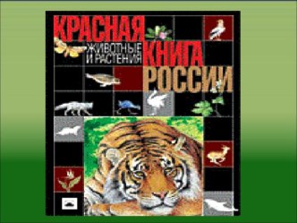 Презентация №2 к уроку Кто такие звери